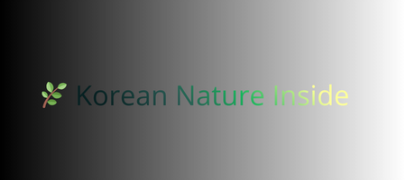 🌿 Korean Nature Inside